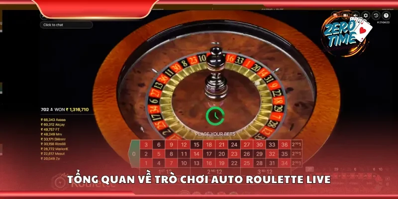 Tổng quan về trò chơi auto roulette live